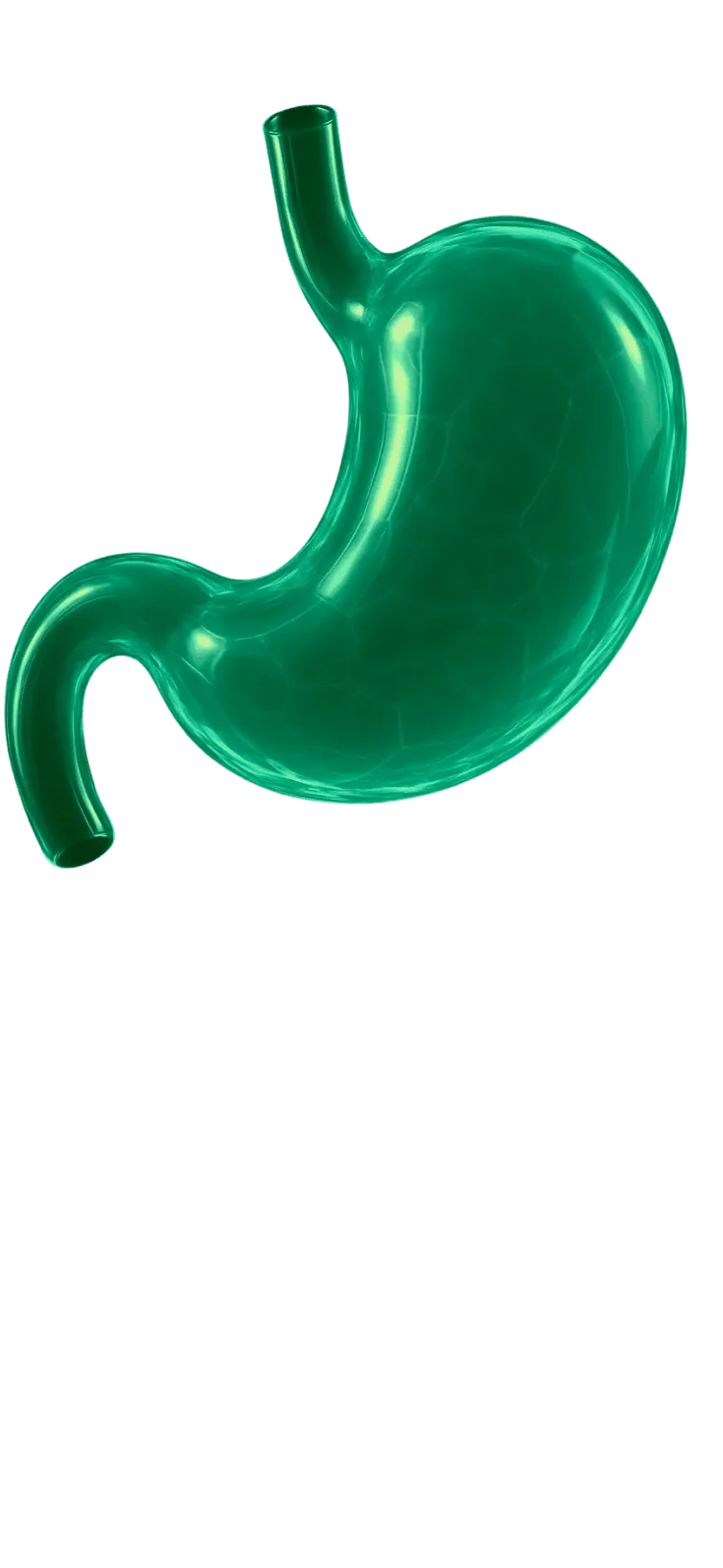 course